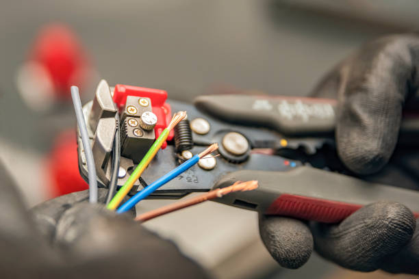 Best Local Electrician Companies  in Sleepy Eye, MN
