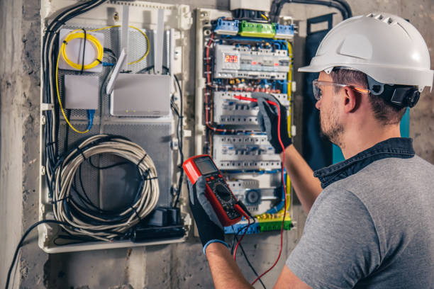 Best Electric Panel Repair  in Sleepy Eye, MN