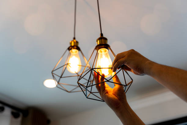 Best Licensed Electrician  in Sleepy Eye, MN